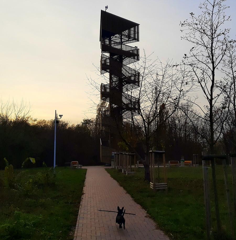 Przed wspinaczką, Szachty, Poznań