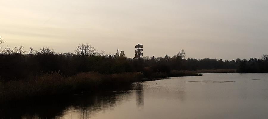 Horyzontalnie, Szachty, Poznań
