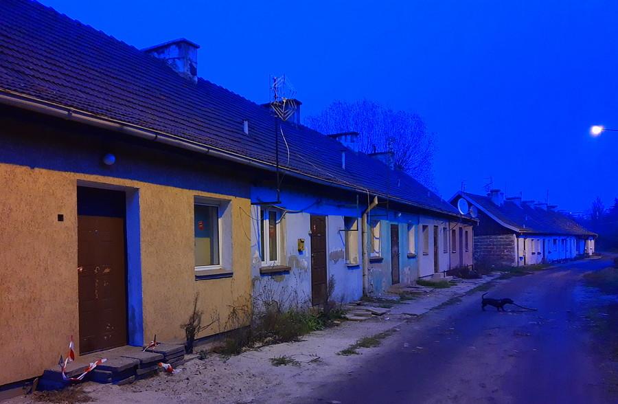 Mroczny świat, który znika, okolice Opolskiej, Poznań