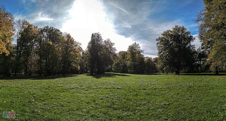 Park przypałacowy