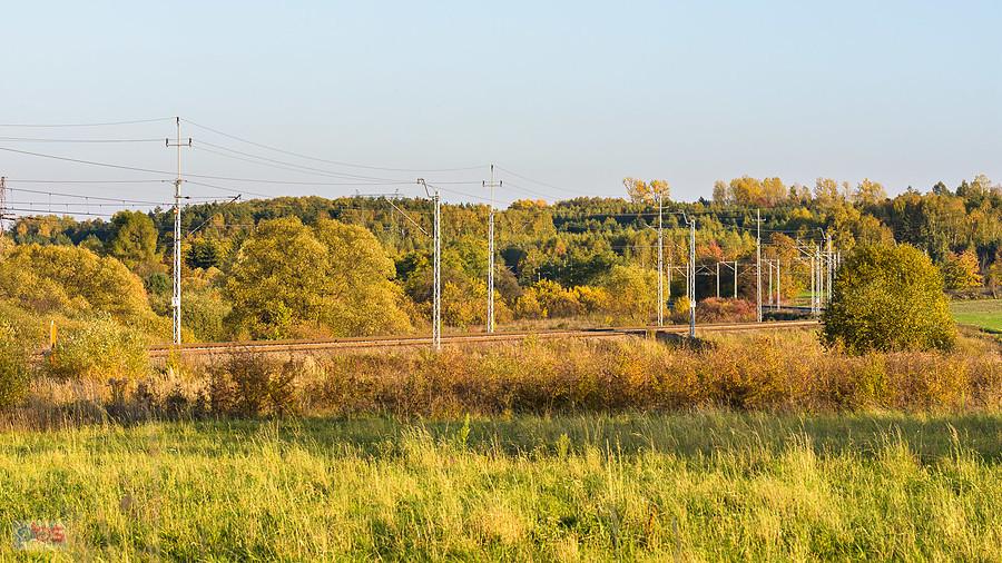 Linia D29-61 Turów - szlak podg. Kucelinka - pola w Turowie