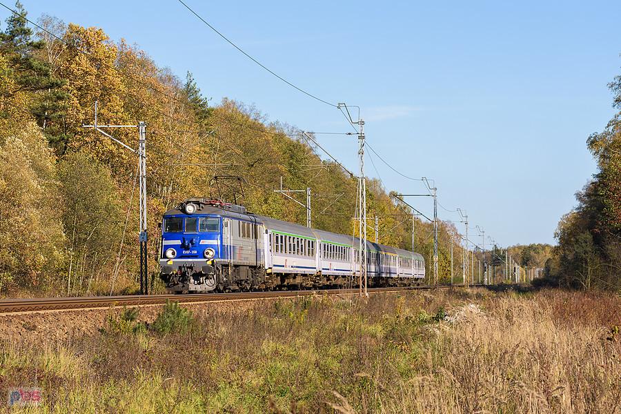 EU07-358 z poc. TLK 38102 "Osterwa" (Przemyśl Główny - Szczecin Główny) jedzie szlakiem: Julianka - Turów, mijając las w Lipniku, linia D29-61.