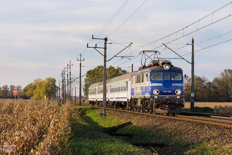 EP07-1025 na czele poc. TLK 84104 "Światowid" relacji: Szczecin Główny - Katowice. Pociąg jedzie szlakiem: Brzezinka Średzka - Wrocław Pracze, mijając Wrocław Marszowice, linia D29-273.