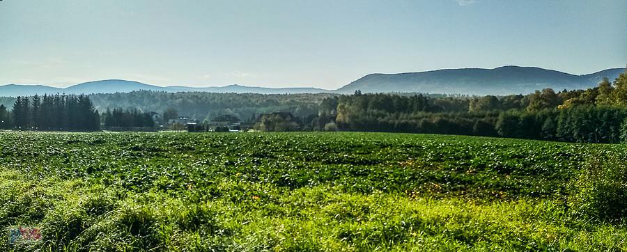 W drodze do Pisarzowic