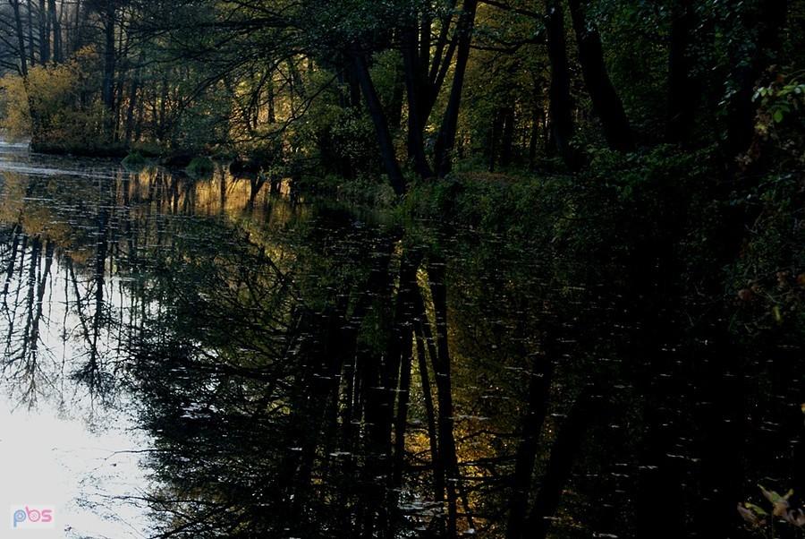W Rezerwacie Niebieskie Źródła
