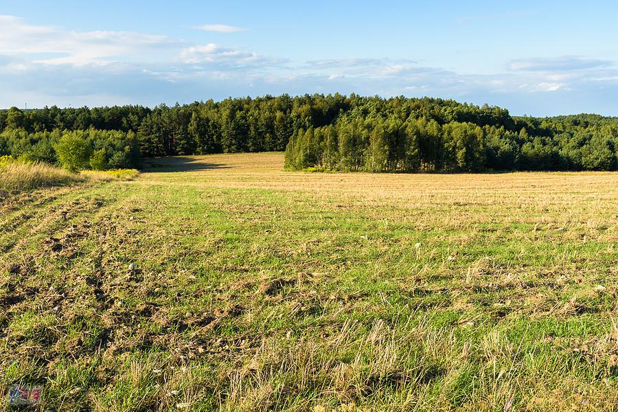 Widoki na polach w Zrębicach