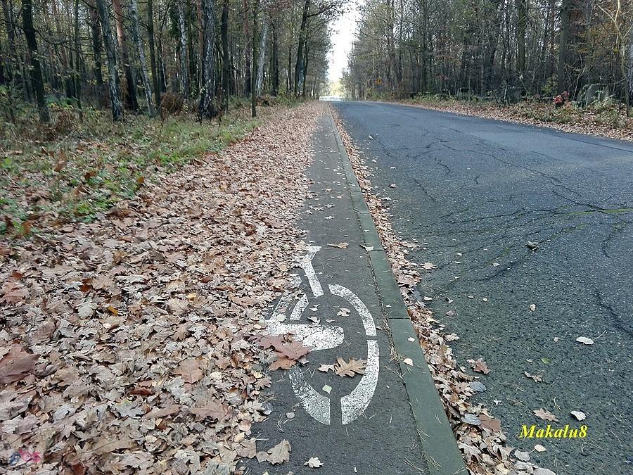Jesienne zwężenie ścieżki