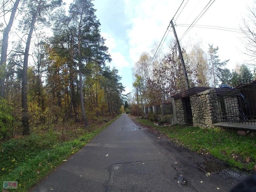 Kaliszki, Podleśna