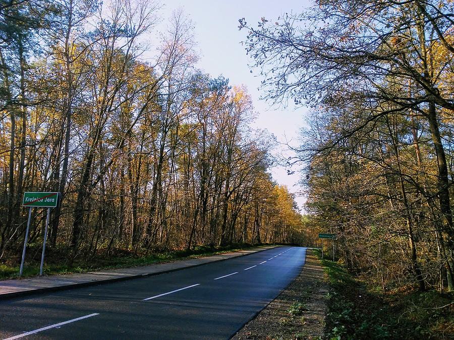 Wtorkowy poranek