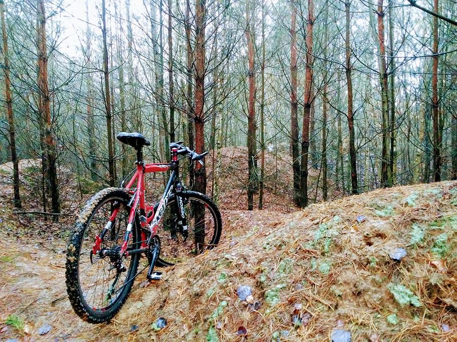 Dla odmiany trochę MTB