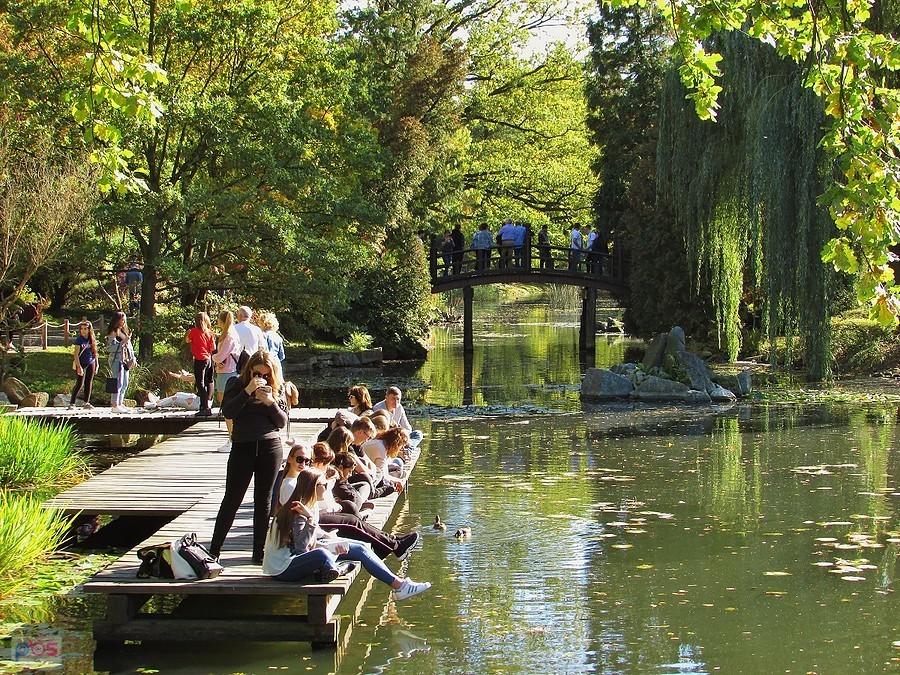 Pomosty nad stawem i mostek łukowy