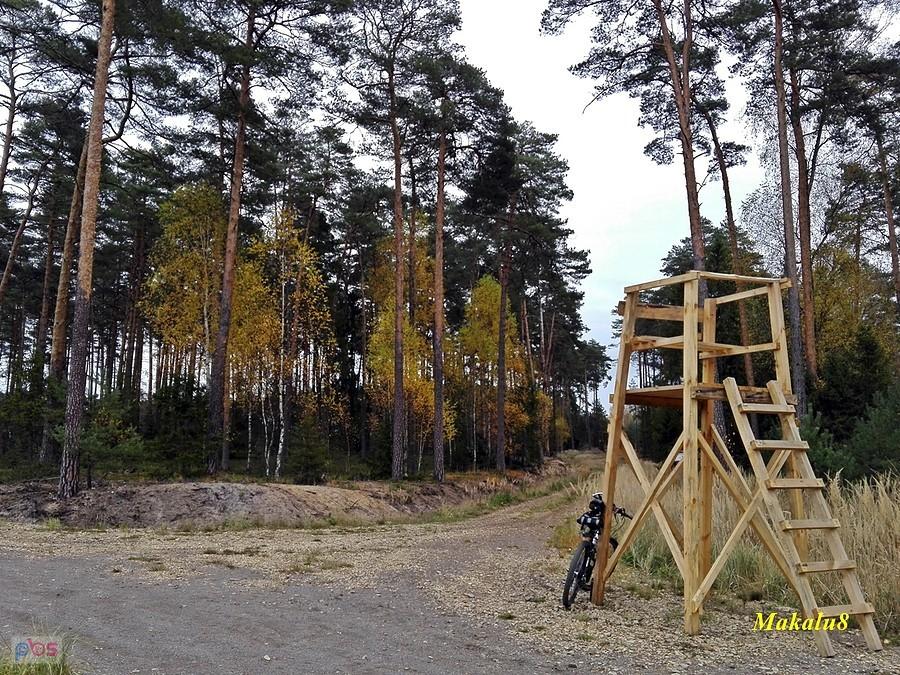 Odsapka na skrzyżowaniu.