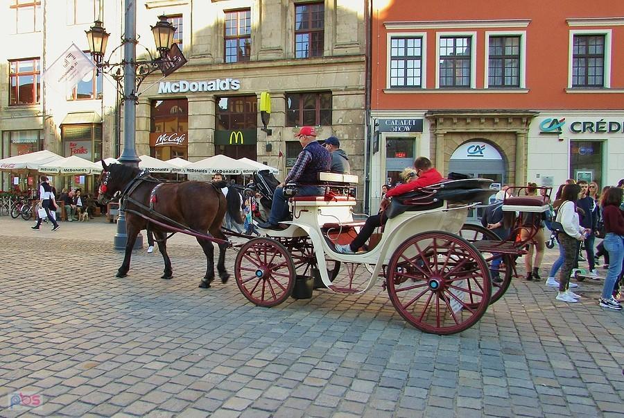 Dorożka na Rynku