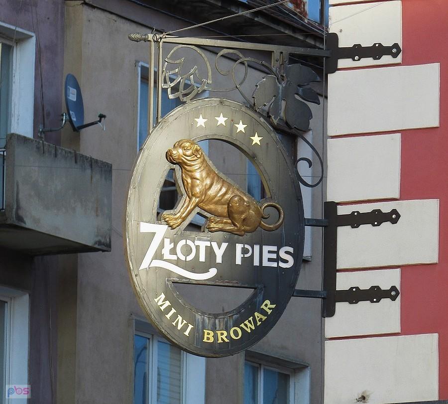 Browar Złoty Pies na Rynku