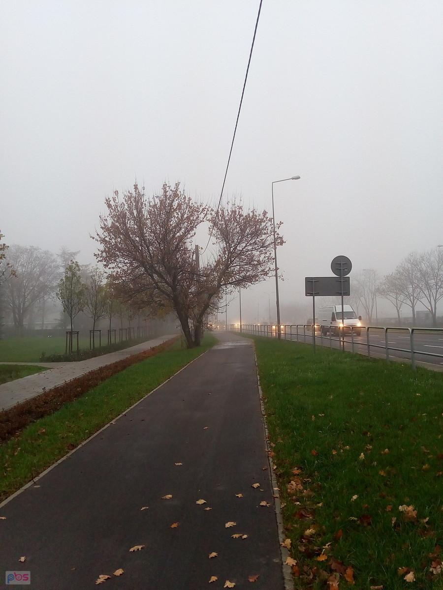 Jesienna mgła