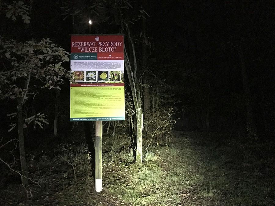 Rezerwat Wilcze Błoto