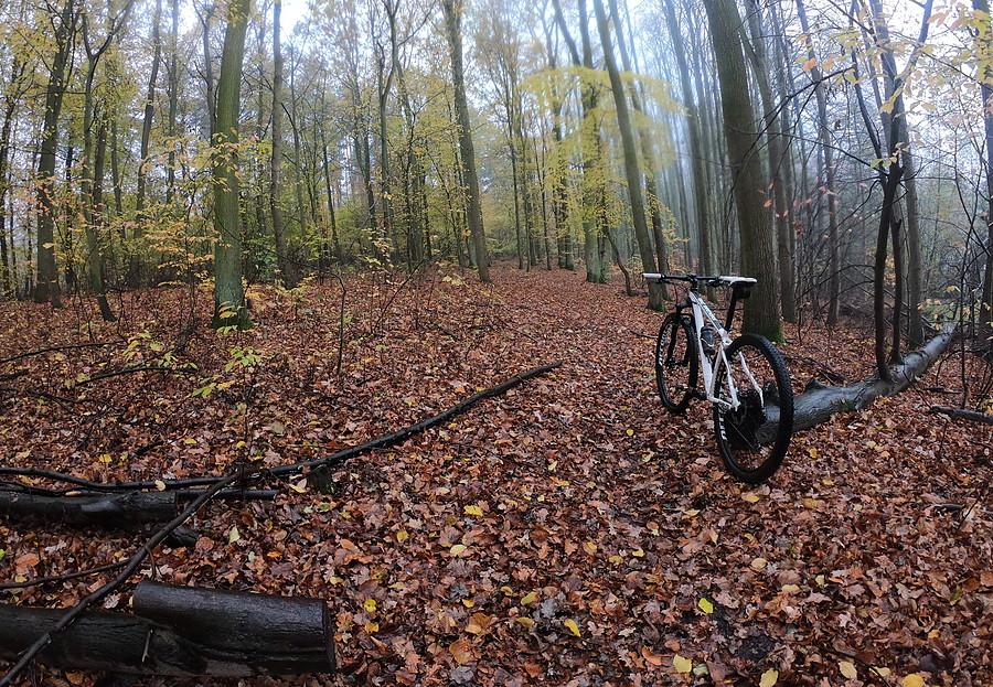 W 100% listopadowe MTB