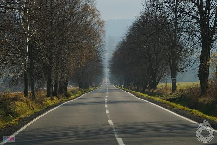 zwyczajowo prosta podmagurska
