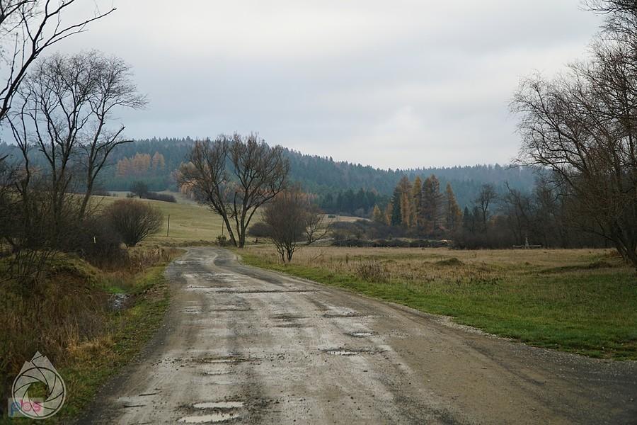 Radocyna przed zimą