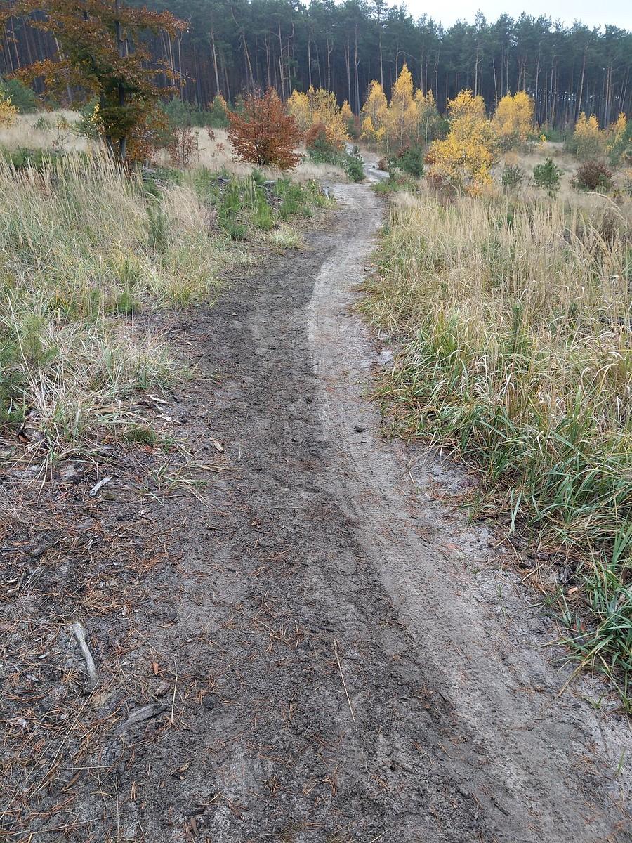 Ślady Motocykli Crossowych w Sokolich - żółty pieszy