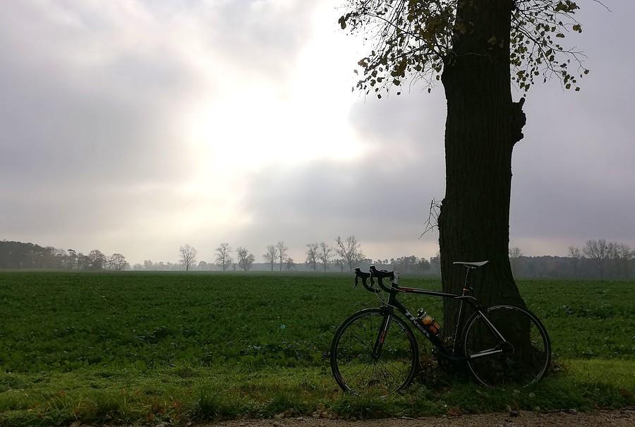 Zachmurzona pauza na trasie
