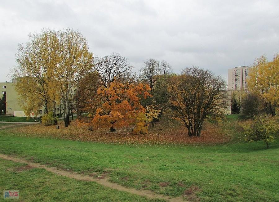 Widok z górki przy ukl. Szolc-Rogozińskiego