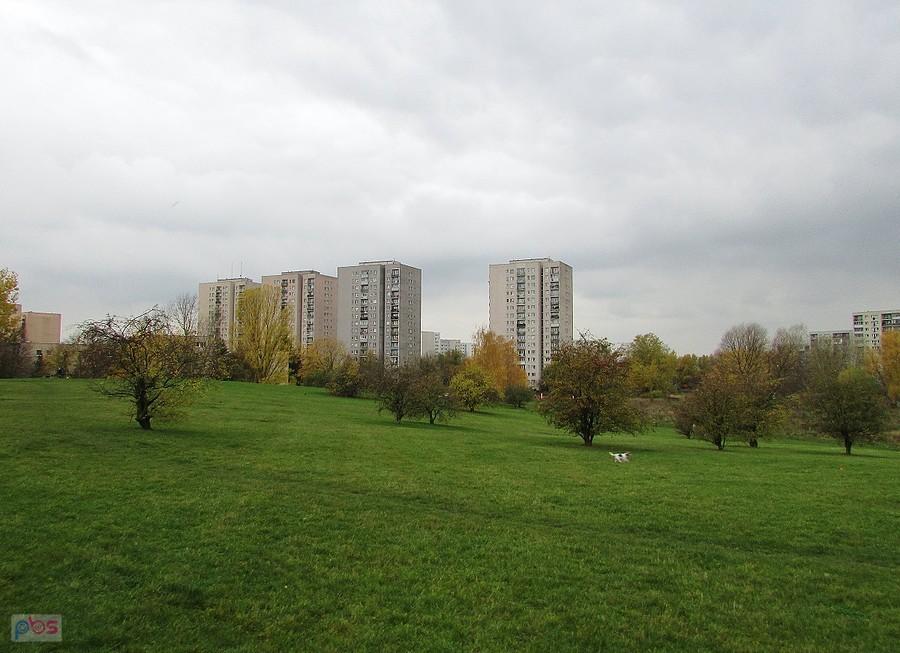 Tu powstanie Park Wynalazców na Ursynowie