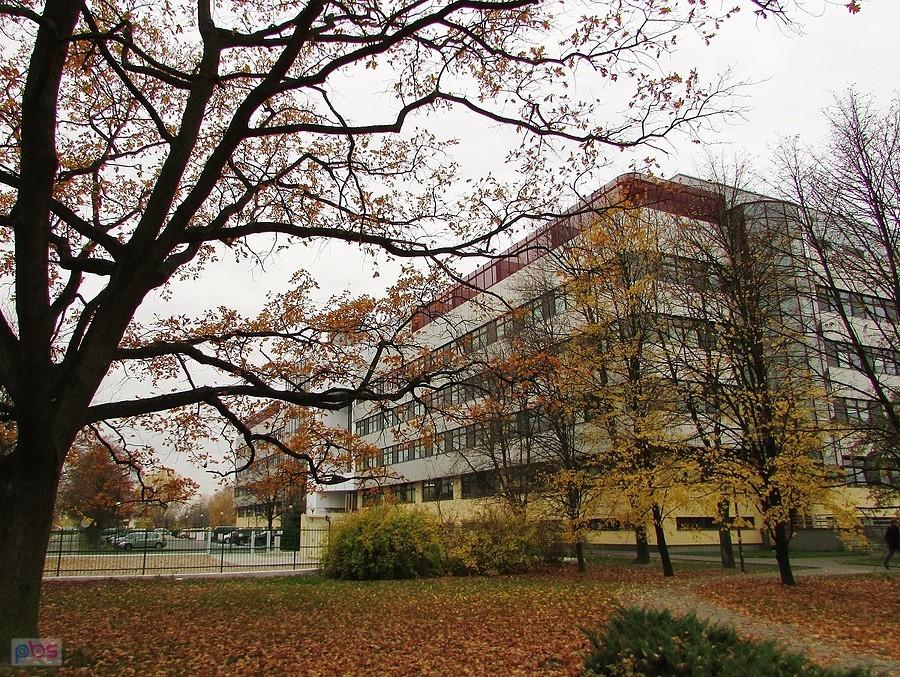 Budynek Wydziału Leśnego, W.Technologii Drewna oraz W. Zastosowań Informatyki i Matematyki