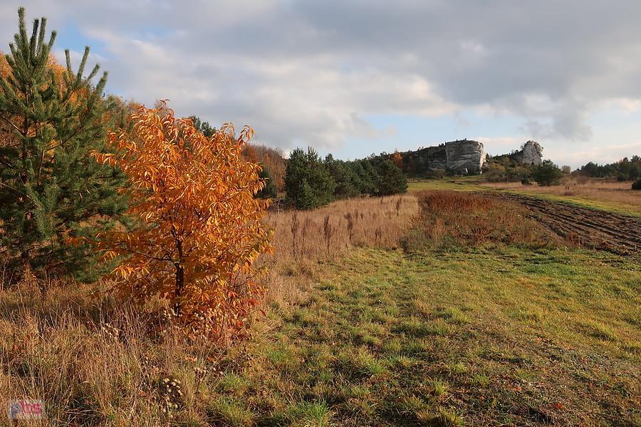 Widok na Cegielnię