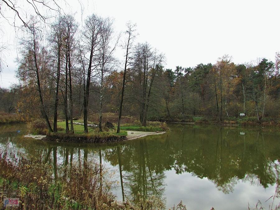 Wyspa na stawie - tu też widać, że wody jest mniej