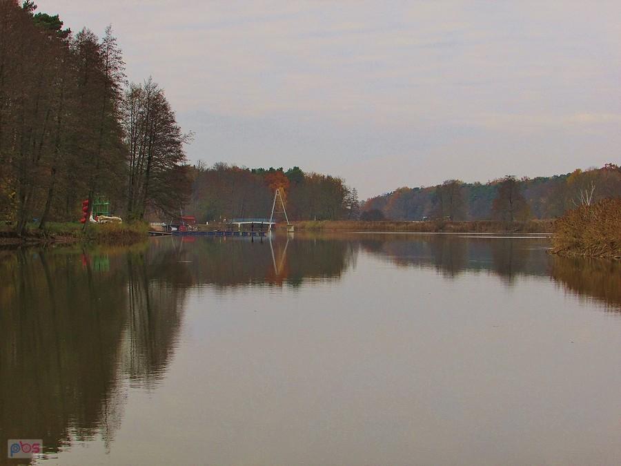 Staw w Zalesiu Górnym