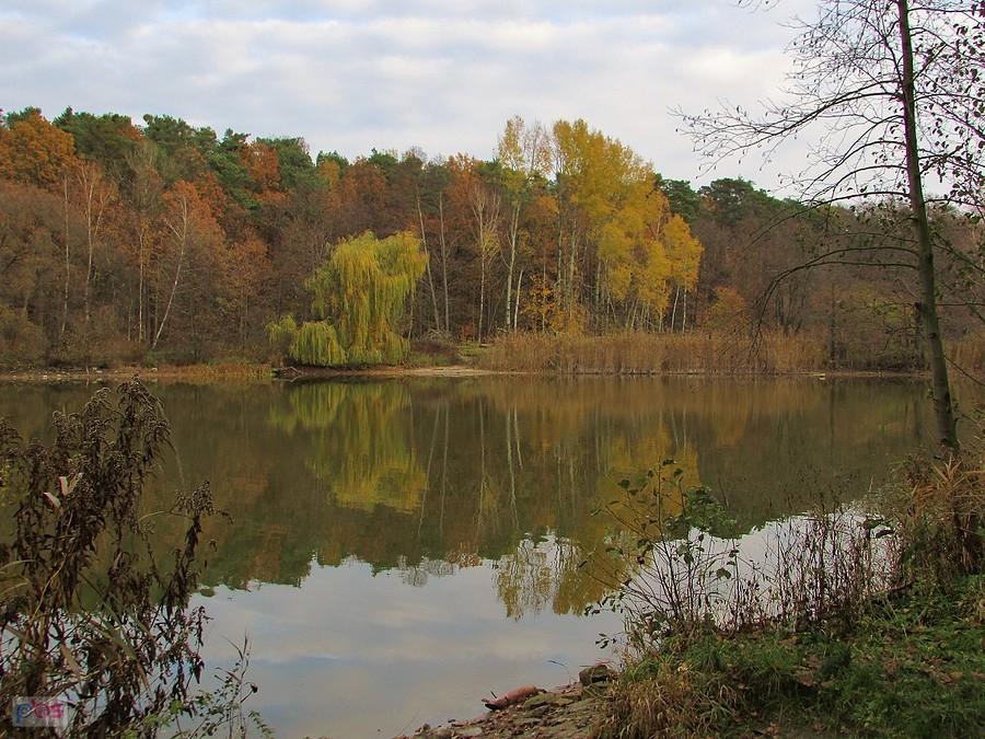 Zalesie Górne - kolorowo nad stawem