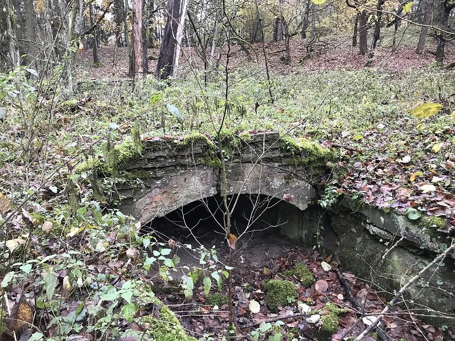 Ruiny młyna i zabudowań ZACISZA