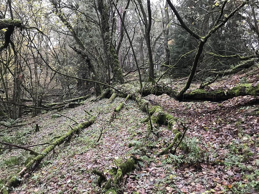Takie klimatyczne miejsca