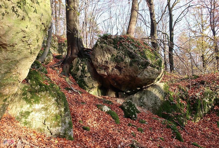 Skały z Okapem Pierwszym na Karzełku