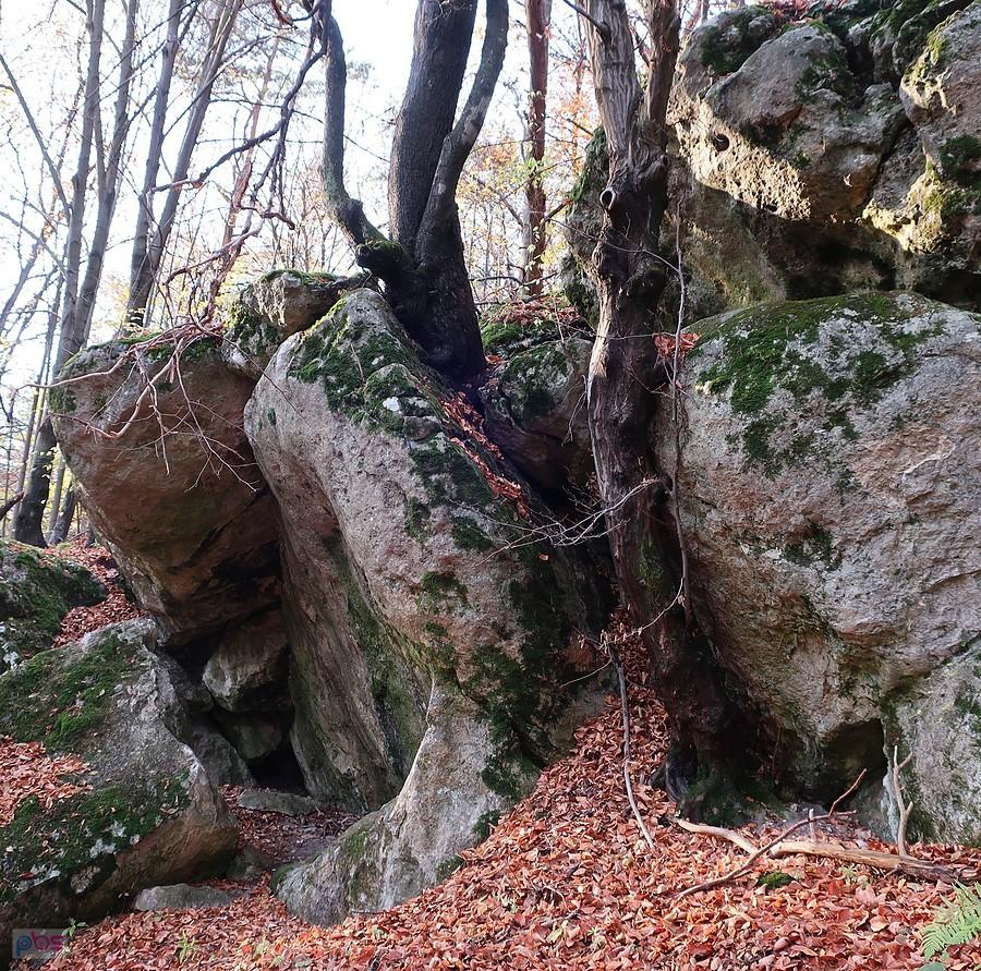 Skały z Okapem Drugim na Karzełku