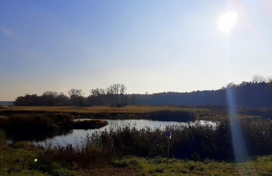 Widok z portu, Radzewice