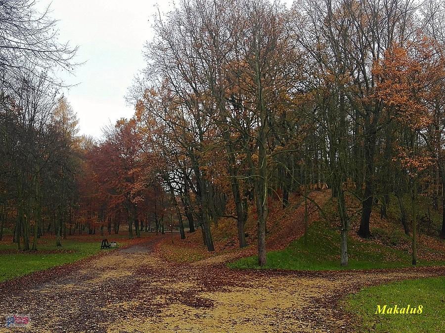 Bytom_Park Fazaniec