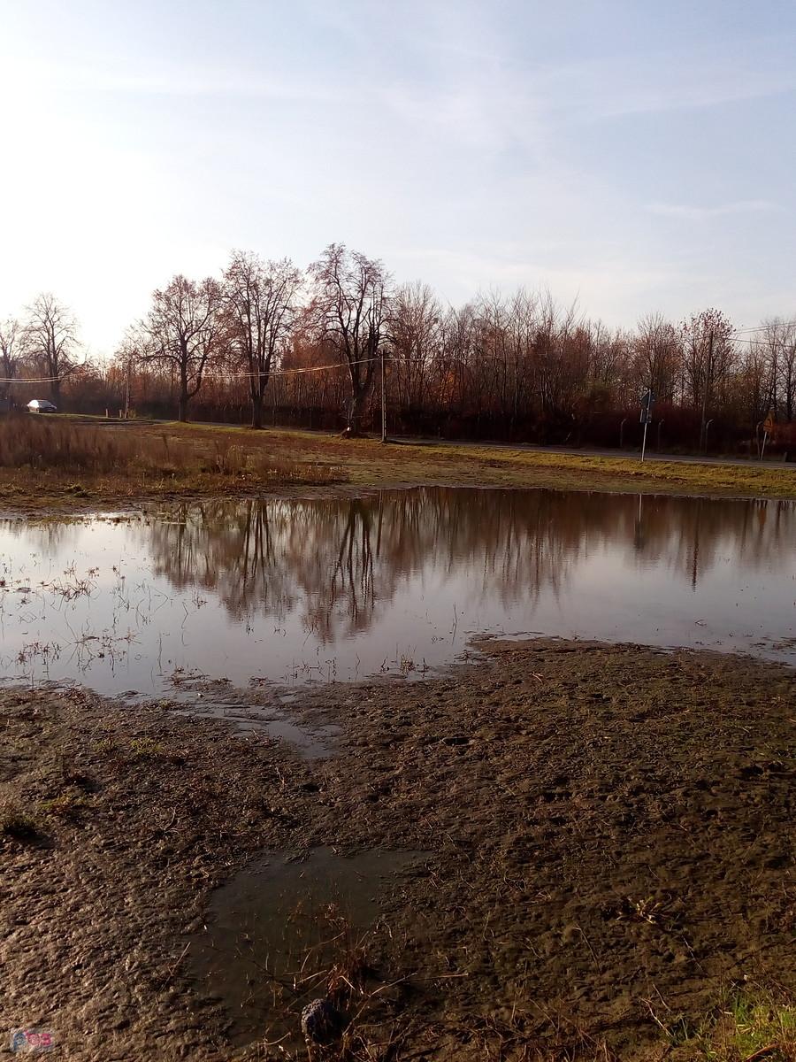 A to kałuża nieźle udająca staw