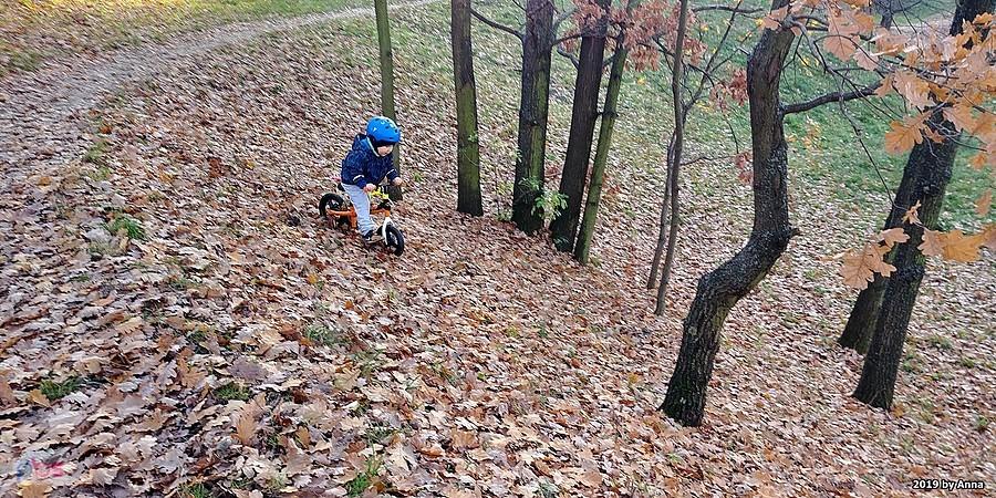 A tu mnie zaskoczył. Bez ścieżki, po prostu zboczem górki