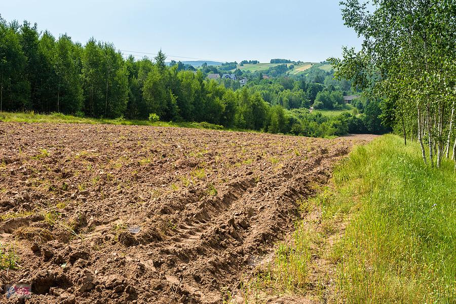 Widok na pola w Zawywarzu - Podłazie