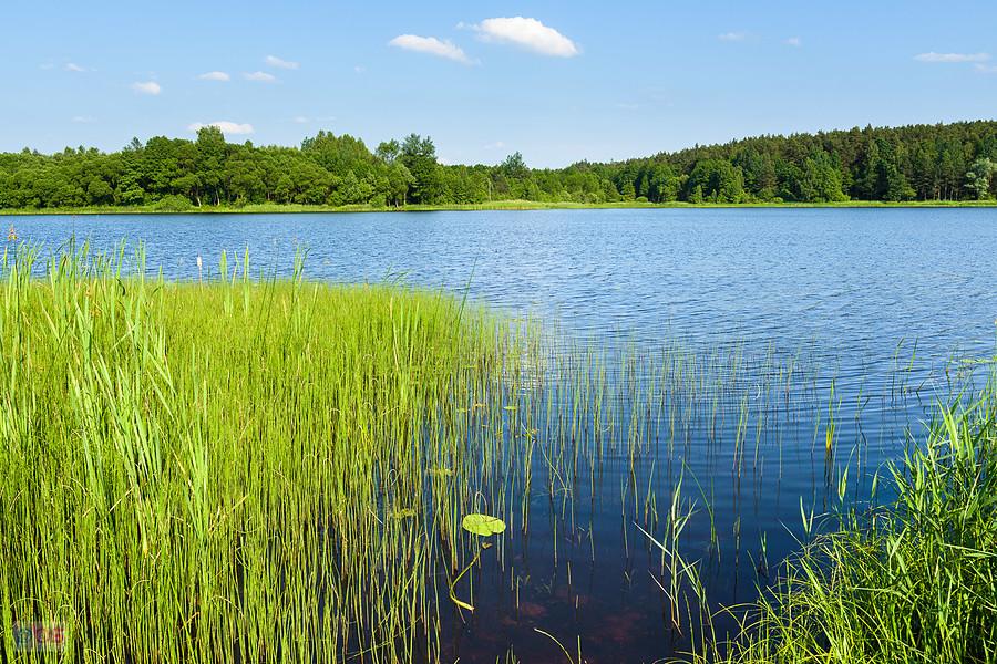 Nad zalewem Mostki - gmina Suchedniów