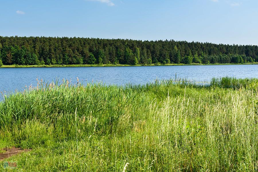 Widoki nad Zalewem Mostki w gminie Suchedniów