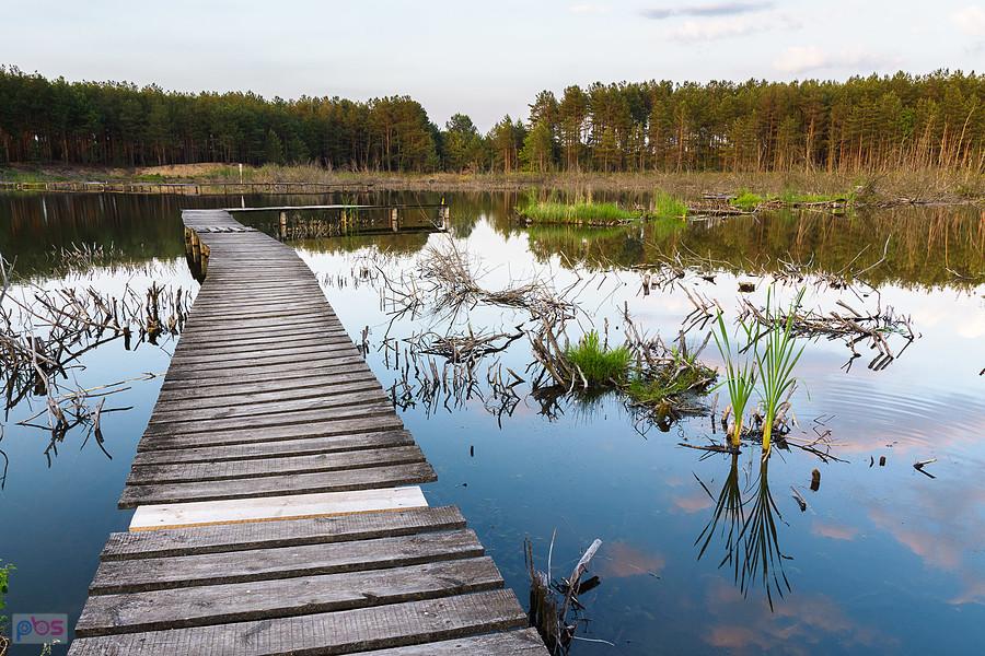 Drewniane molo na oczku wodnym przy ul. Św. Rocha - Marcinków