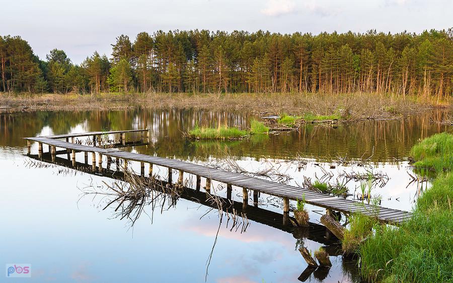 Molo na oczku wodnym przy ul. Św. Rocha - Marcinków