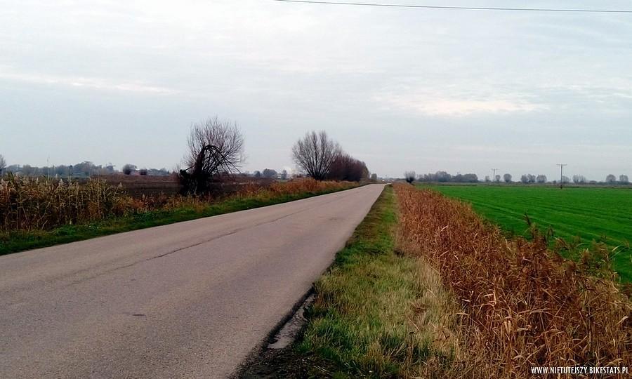 W drodze