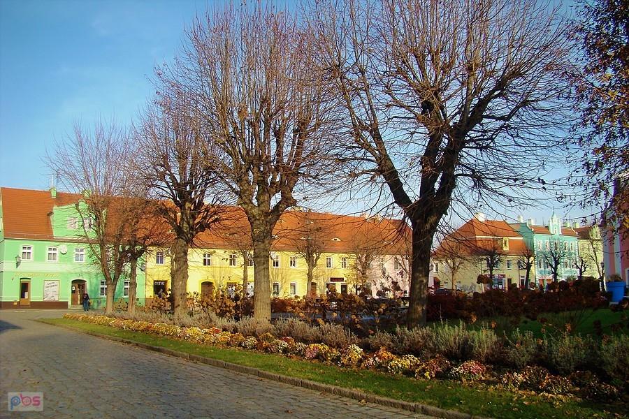 Kamoieniczki przy rynku w Chocianowie
