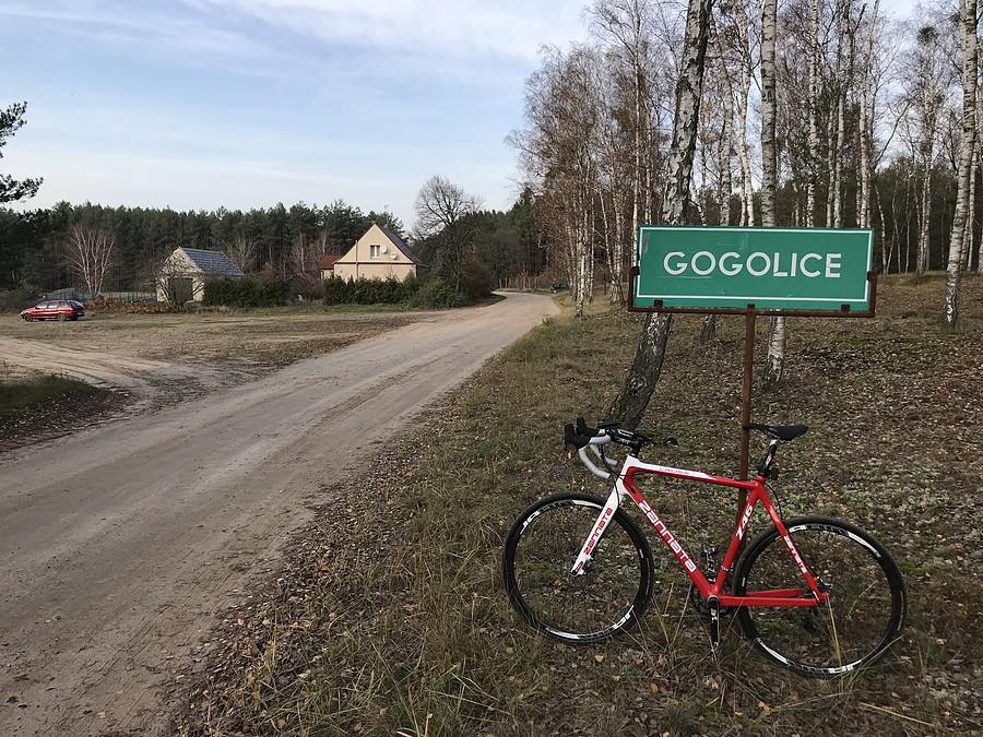 Gogolice - osada w Puszczy Noteckiej