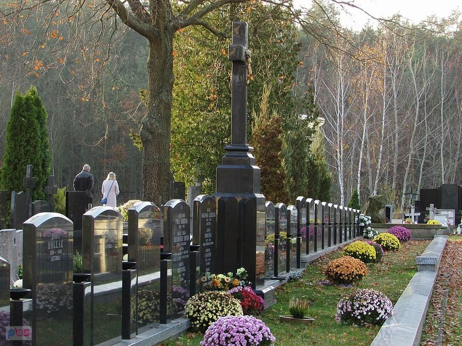 Cmentarz w Skolimowie - zachodnia część alei z grobami aktorów