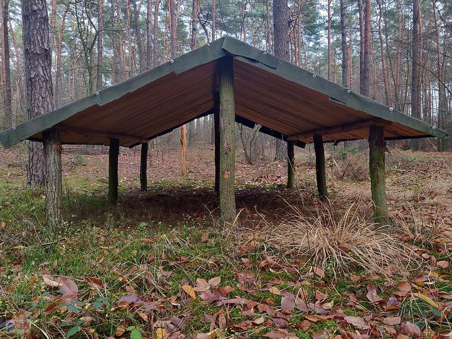 Zadaszenie, widok od dolny